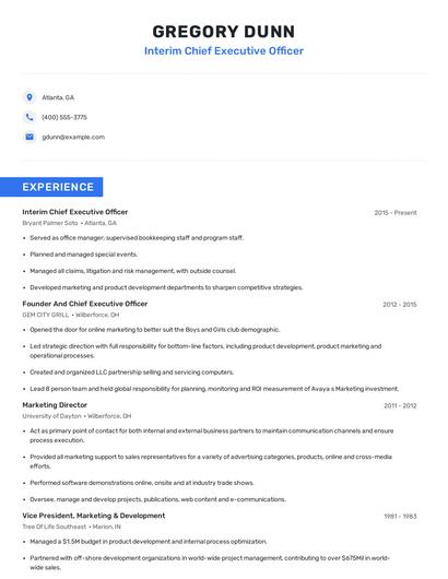 Interim Chief Executive Officer Resume