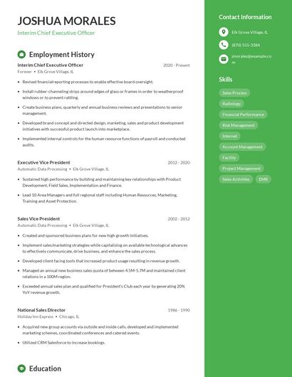 Interim Chief Executive Officer Resume