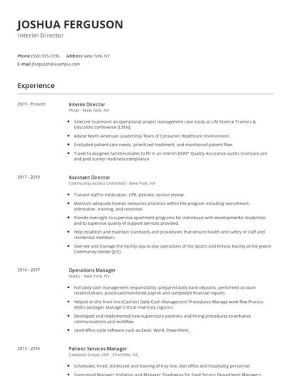 Interim Director Resume