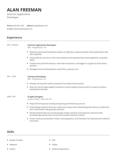 Internet Application Developer Resume