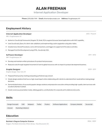 Internet Application Developer Resume