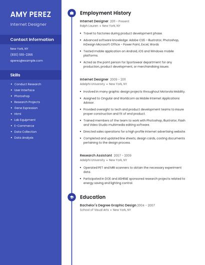 Internet Designer Resume