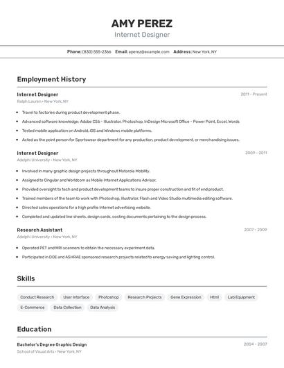 Internet Designer Resume