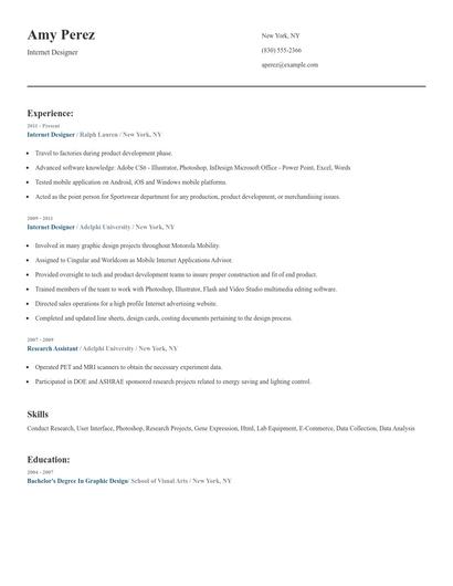 Internet Designer Resume