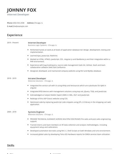 Internet Developer Resume