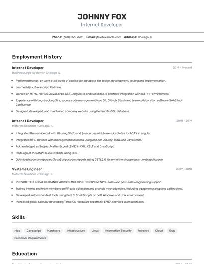 Internet Developer Resume