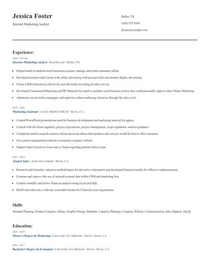 Internet Marketing Analyst Resume