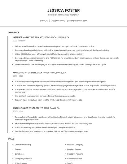 Internet Marketing Analyst Resume