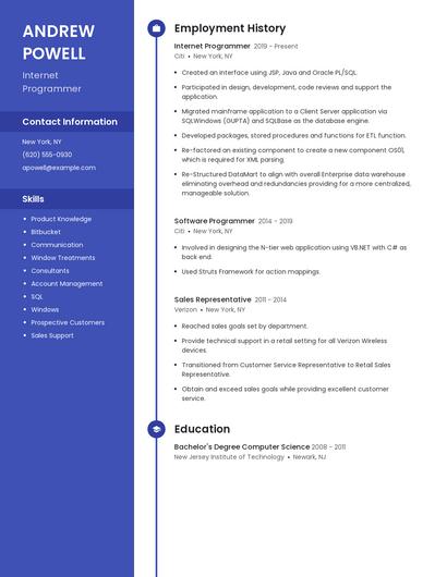 Internet Programmer Resume