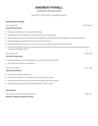 Internet Programmer Resume