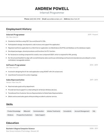 Internet Programmer Resume