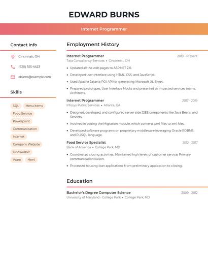 Internet Programmer Resume