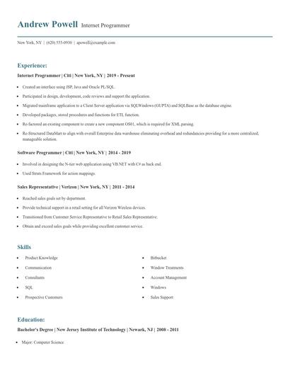 Internet Programmer Resume