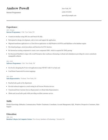 Internet Programmer Resume