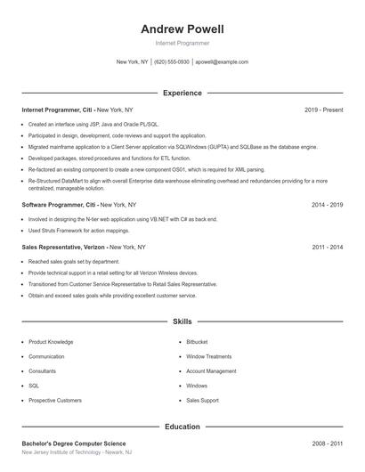 Internet Programmer Resume