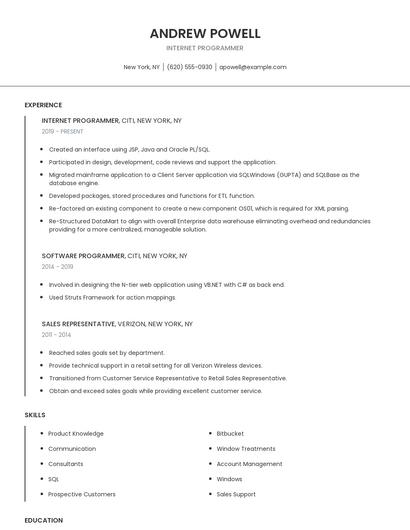 Internet Programmer Resume