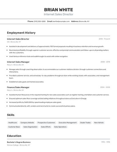Internet Sales Director Resume
