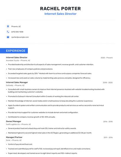 Internet Sales Director Resume