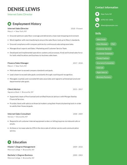 Internet Sales Director Resume