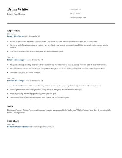 Internet Sales Director Resume