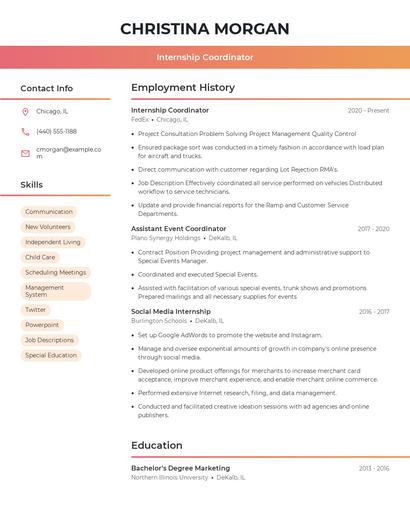 Resume example 3