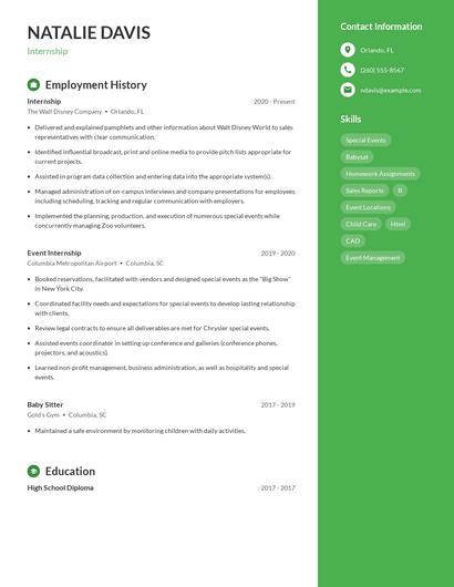 Resume example 4