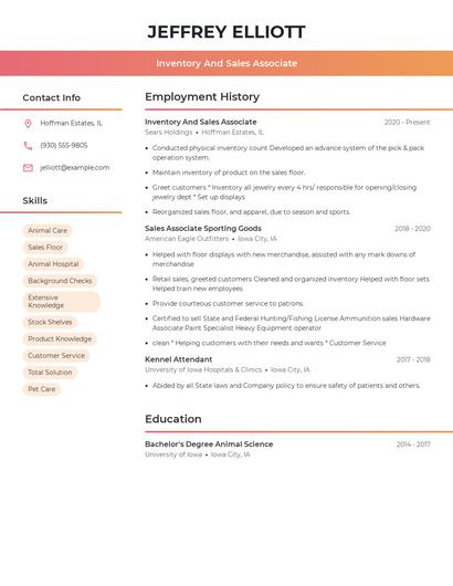 Resume example 3