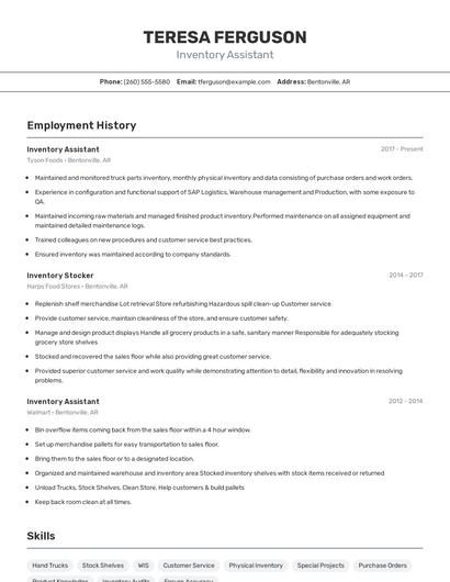 Resume example 2
