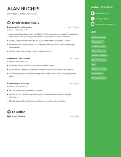 Resume example 5