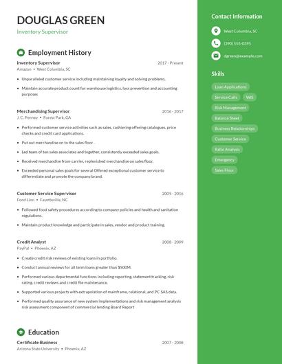 Resume example 4