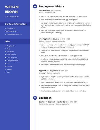 Resume example 4