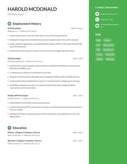 Resume example 5