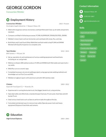 Resume example 5