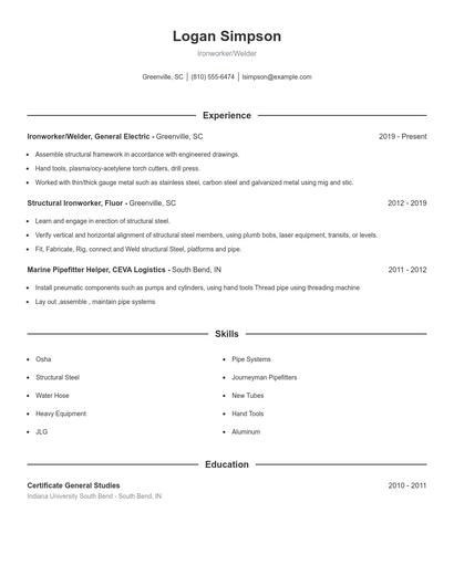 Resume example 1