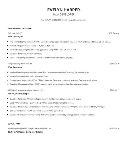 Java Developer Resume