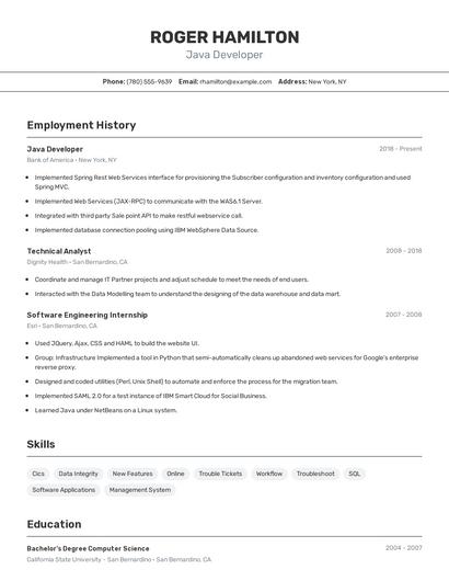Resume example 2