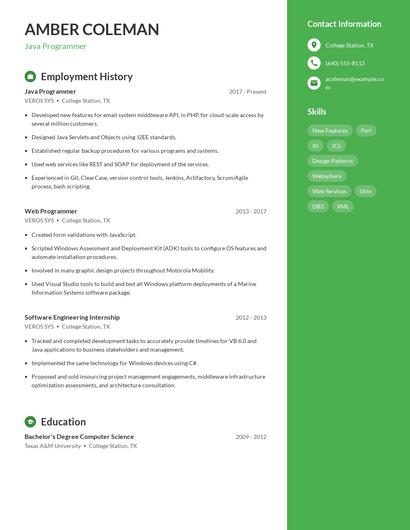 Java Programmer Resume