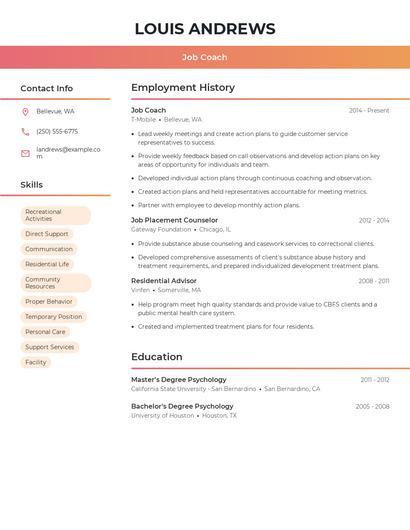 Resume example 3