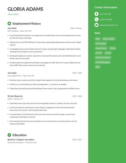 Resume example 4
