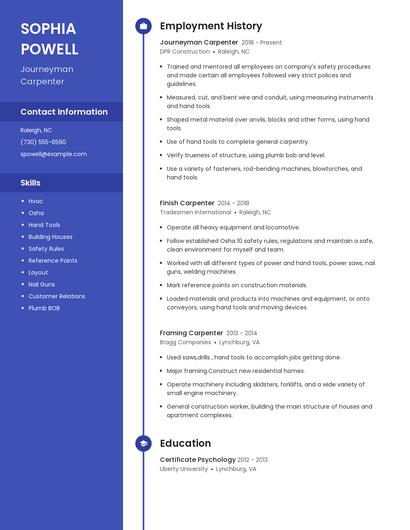 Resume example 4