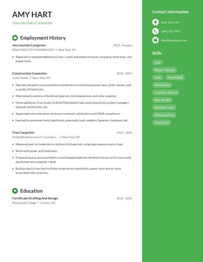 Resume example 5