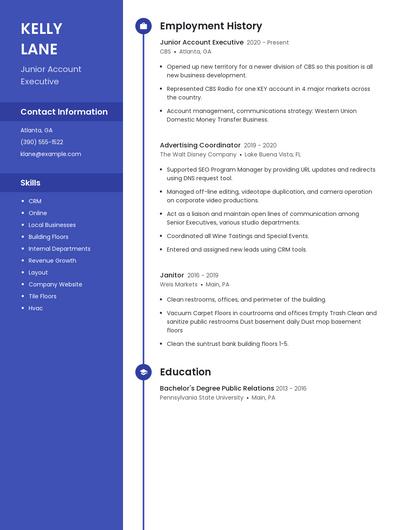 Junior Account Executive Resume