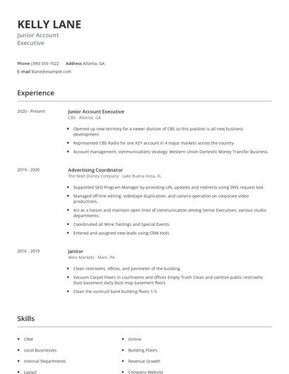 Junior Account Executive Resume