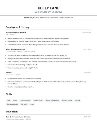 Junior Account Executive Resume