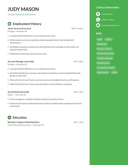 Junior Account Executive Resume