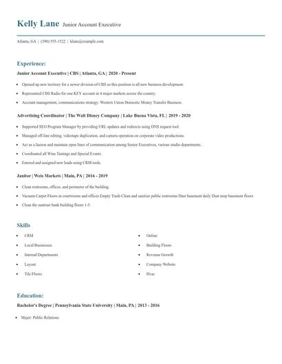 Junior Account Executive Resume