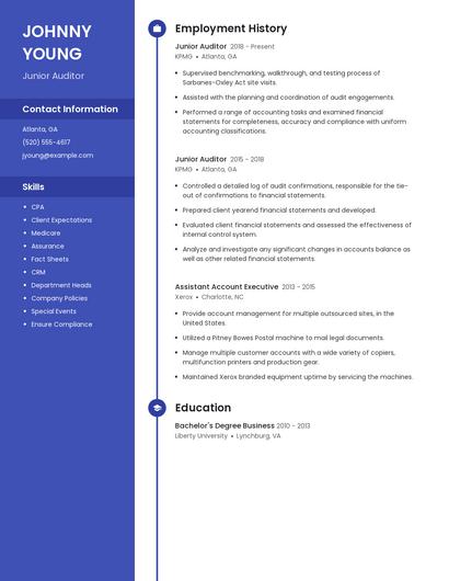 Junior Auditor Resume