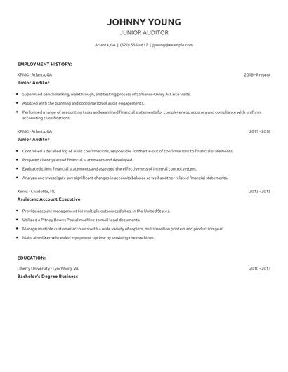 Junior Auditor Resume