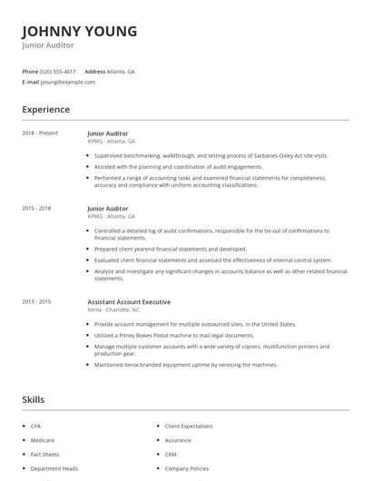 Junior Auditor Resume