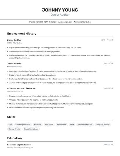 Junior Auditor Resume
